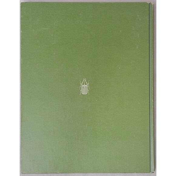 The Insects By Peter Farb Life Nature Library Hardcover 1967 - Picture 2 of 13